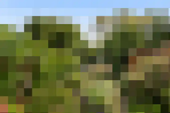 Brederode 154 Leidschendam thumbnail 7