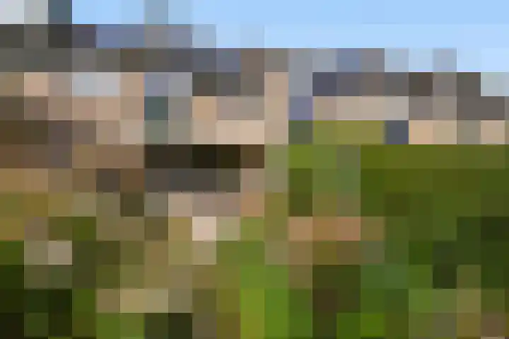 Brederode 154 Leidschendam thumbnail 8