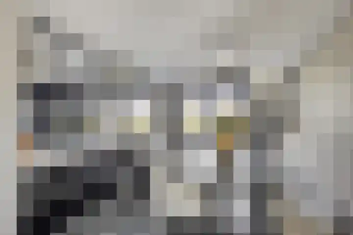 Brederode 34 Dodewaard thumbnail 10