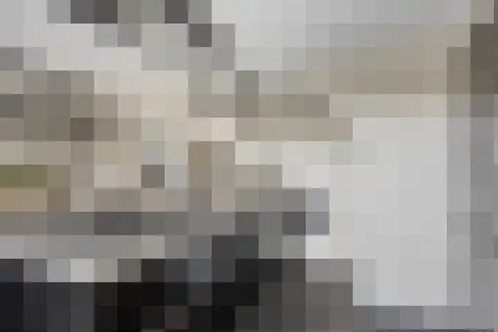 Brederode 34 Dodewaard thumbnail 11