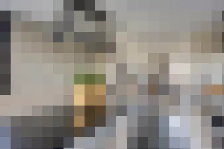 Brederode 34 Dodewaard thumbnail 14