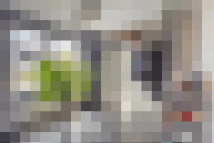 Brederode 34 Dodewaard thumbnail 18