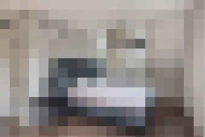 Brederode 34 Dodewaard thumbnail 21