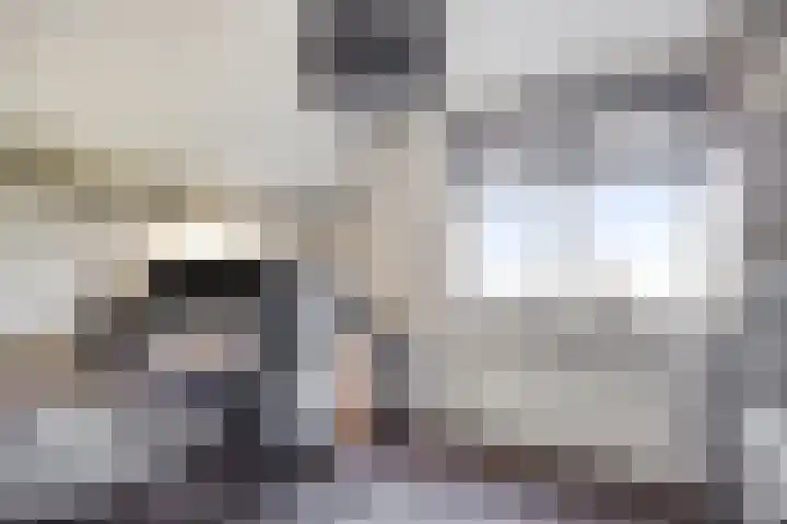 Brederode 34 Dodewaard thumbnail 26