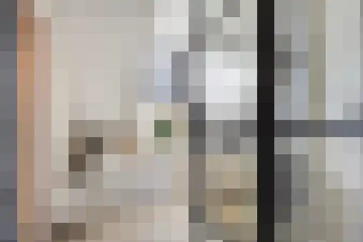 Brederode 34 Dodewaard thumbnail 27