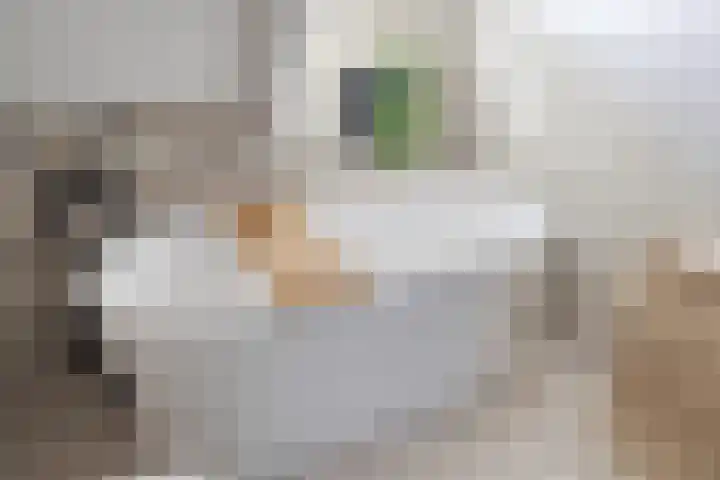 Brederode 34 Dodewaard thumbnail 28