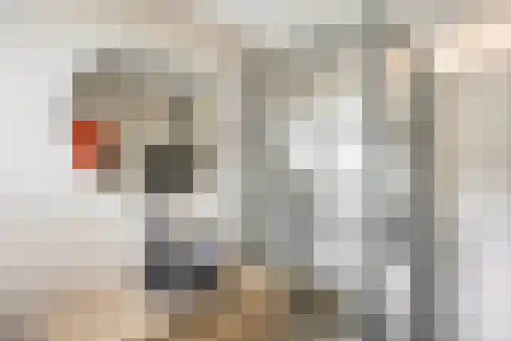 Brederode 34 Dodewaard thumbnail 29
