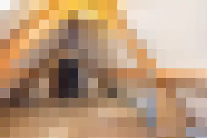 Brederode 34 Dodewaard thumbnail 32