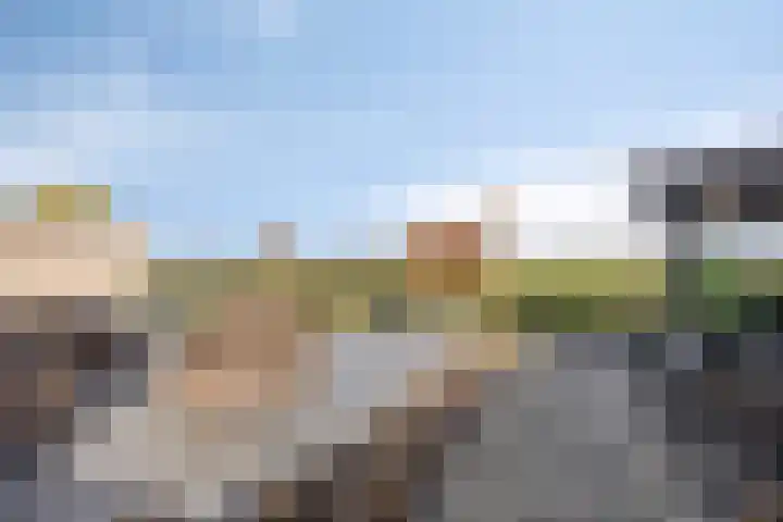 Brederode 34 Dodewaard thumbnail 34