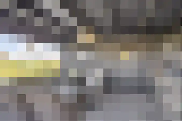 Brederode 34 Dodewaard thumbnail 35