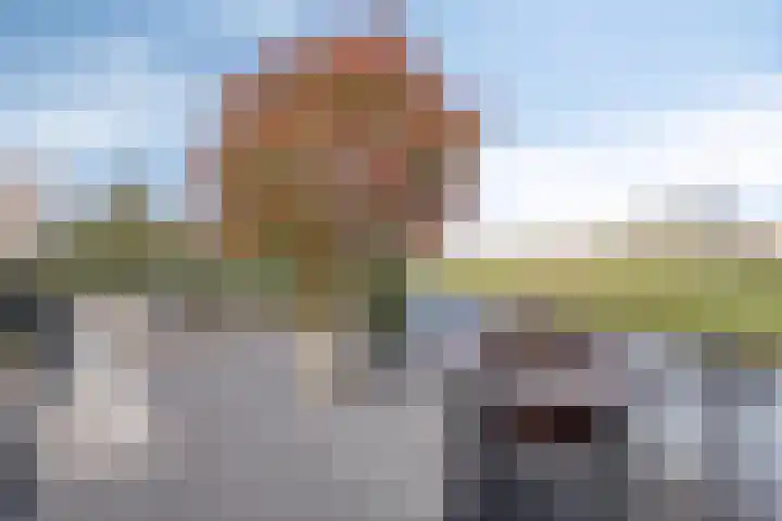Brederode 34 Dodewaard thumbnail 37