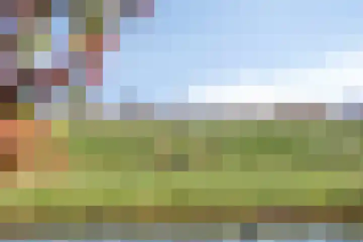 Brederode 34 Dodewaard thumbnail 39