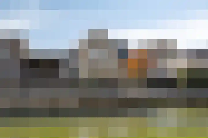 Brederode 34 Dodewaard thumbnail 4