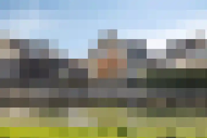 Brederode 34 Dodewaard thumbnail 40