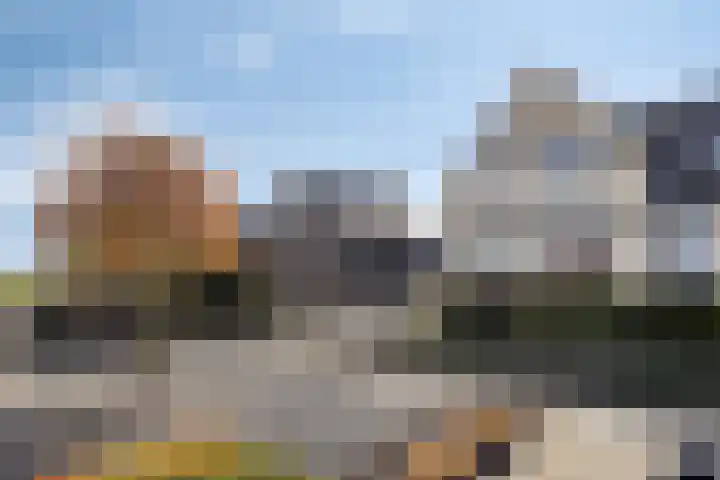 Brederode 34 Dodewaard thumbnail 41
