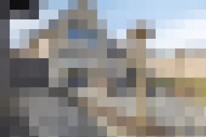 Brederode 34 Dodewaard thumbnail 42