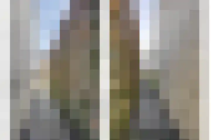 Brederode 34 Dodewaard thumbnail 48