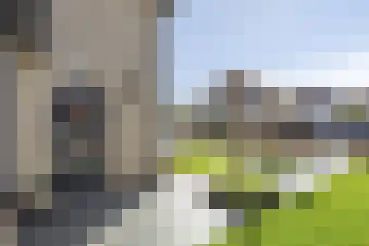 Brederode 34 Dodewaard thumbnail 49