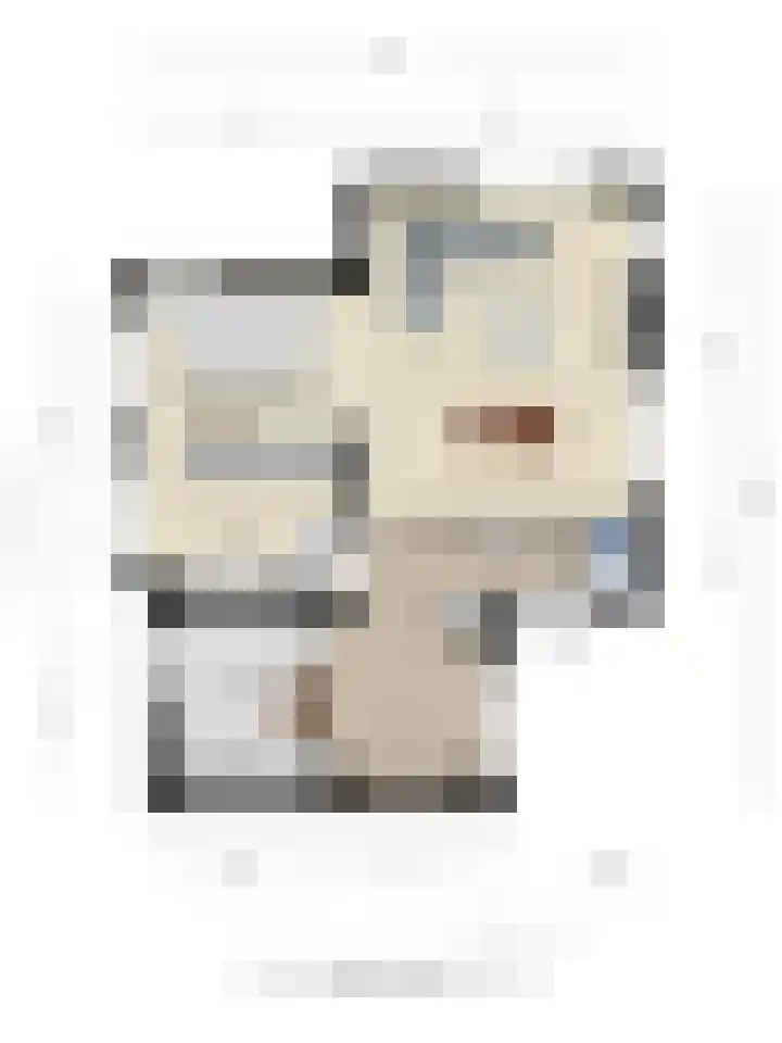 Brederode 34 Dodewaard thumbnail 51