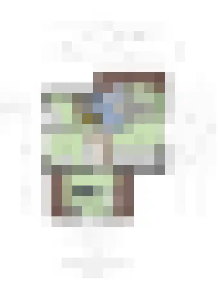 Brederode 34 Dodewaard thumbnail 53