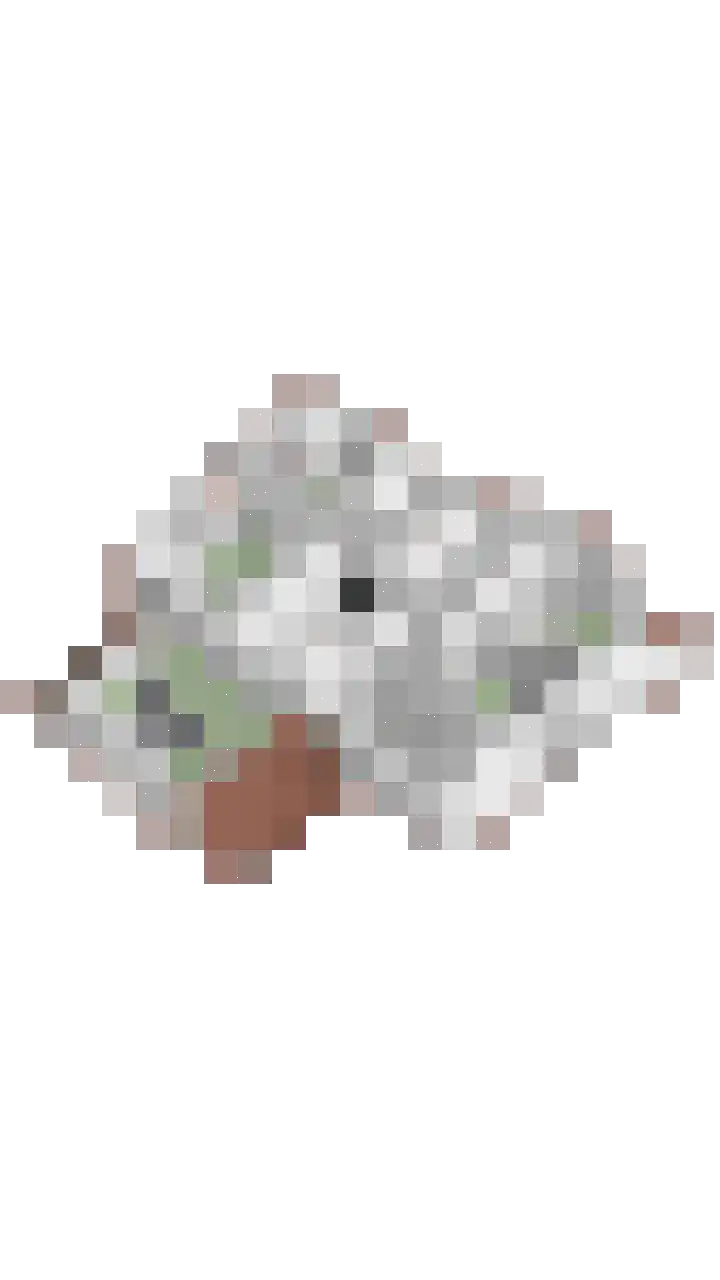 Brederode 34 Dodewaard thumbnail 54