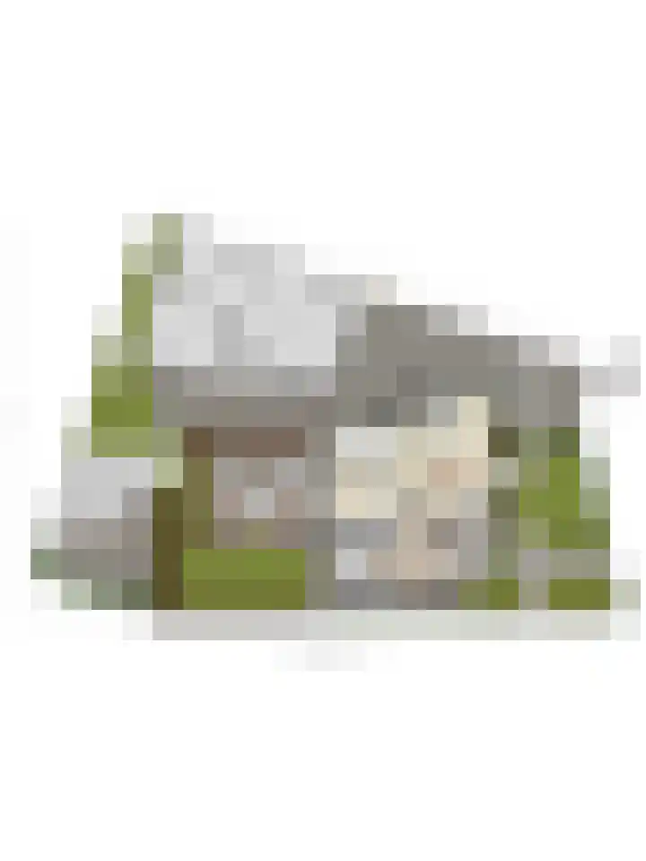 Brederode 34 Dodewaard thumbnail 59