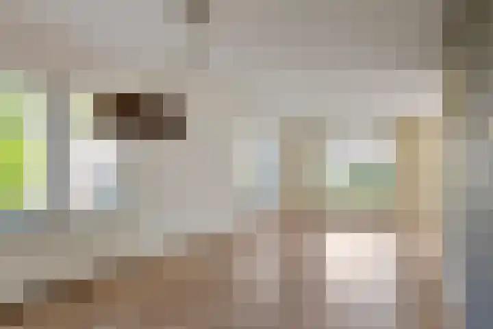 Brederode 4 Tiel thumbnail 12