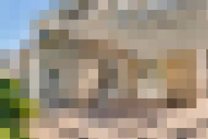 Brederode 4 Tiel thumbnail 16