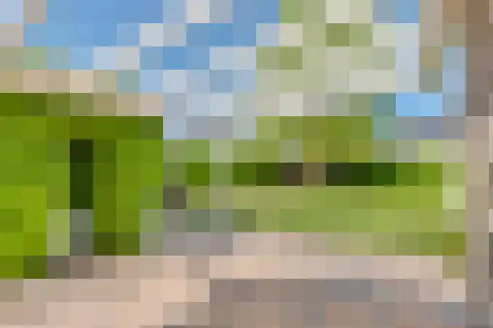Brederode 4 Tiel thumbnail 17