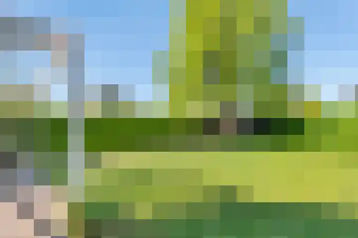 Brederode 4 Tiel thumbnail 18