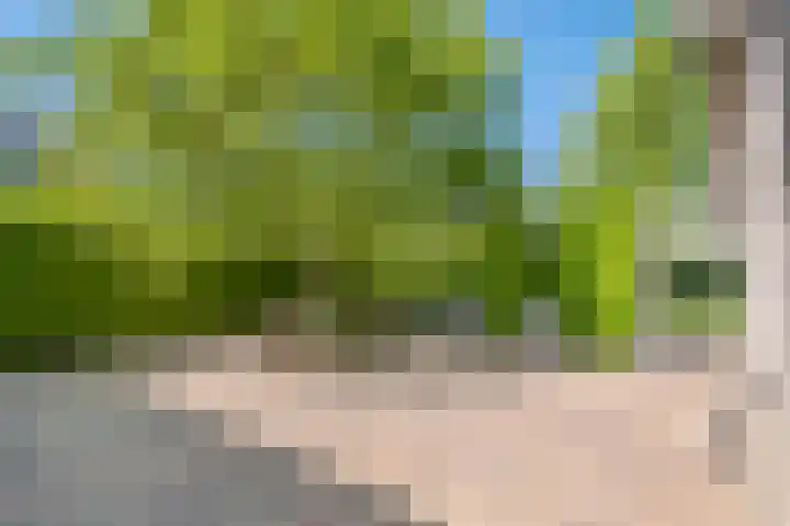 Brederode 4 Tiel thumbnail 19