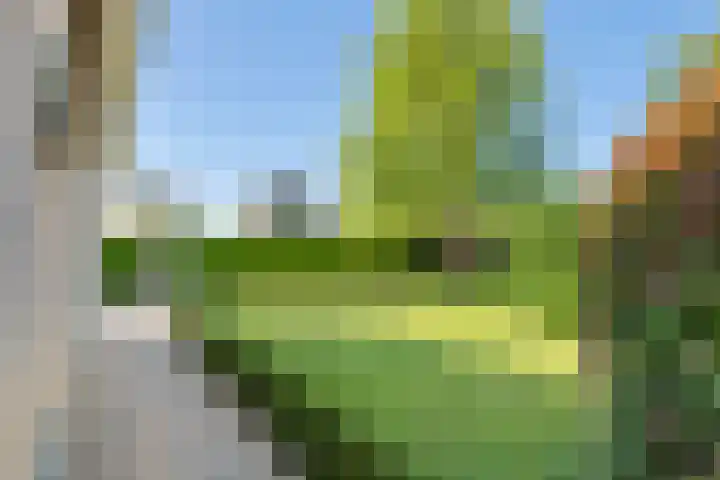 Brederode 4 Tiel thumbnail 20