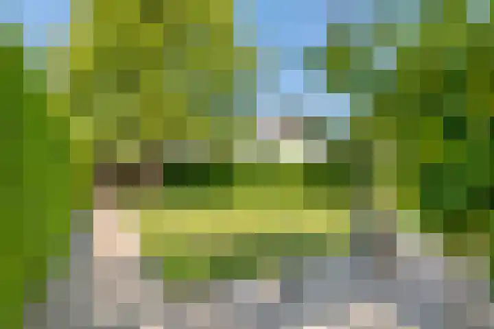Brederode 4 Tiel thumbnail 21