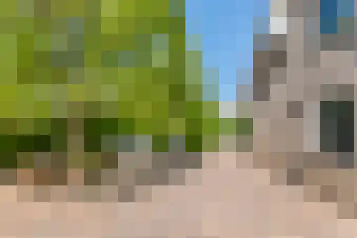 Brederode 4 Tiel thumbnail 22