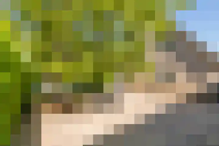 Brederode 4 Tiel thumbnail 23