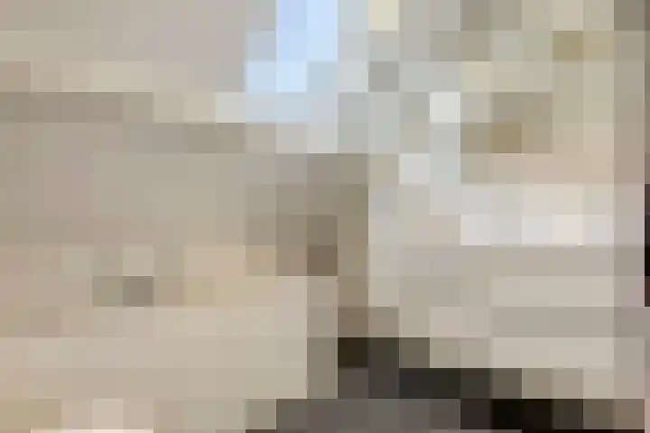 Brederode 4 Tiel thumbnail 34