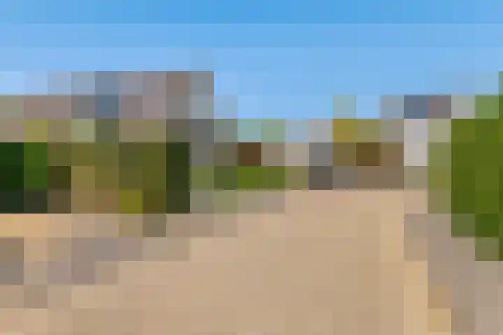 Brederode 4 Tiel thumbnail 46