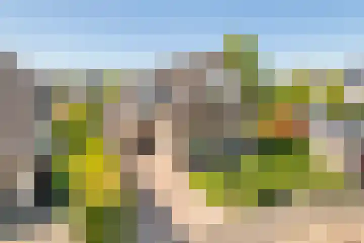 Brederode 4 Tiel thumbnail 47