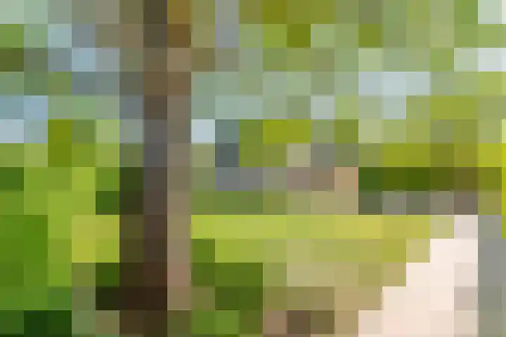 Brederode 4 Tiel thumbnail 5
