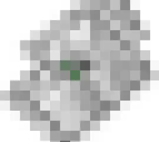 Brederode 4 Tiel thumbnail 51