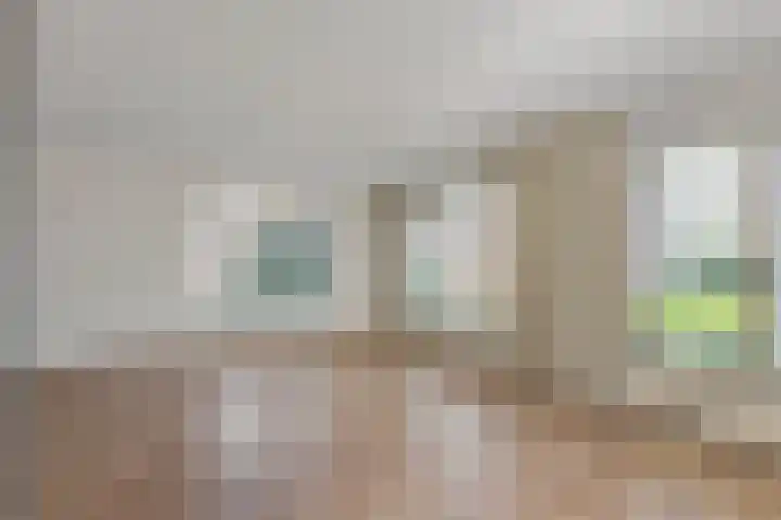 Brederode 4 Tiel thumbnail 8