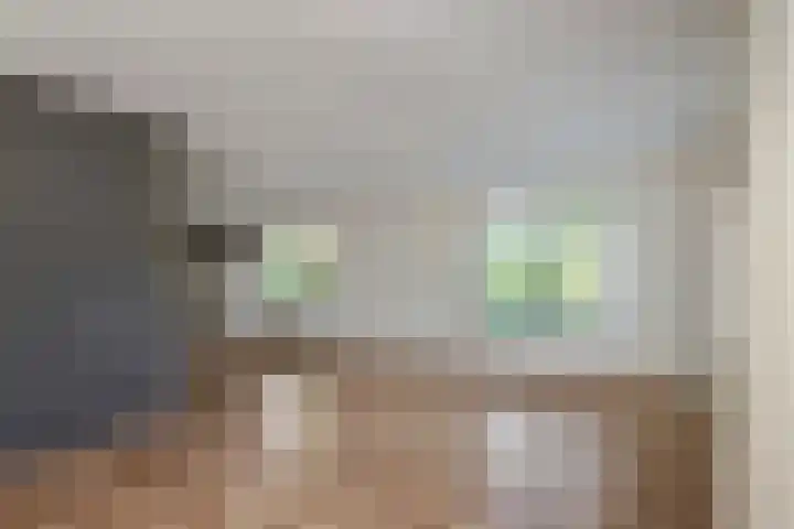 Brederode 4 Tiel thumbnail 9