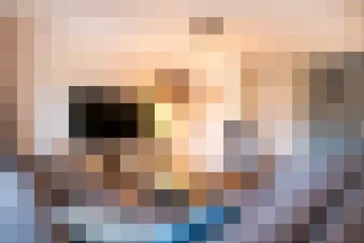 Brederode 51 Duiven thumbnail 11