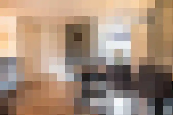 Brederode 51 Duiven thumbnail 13