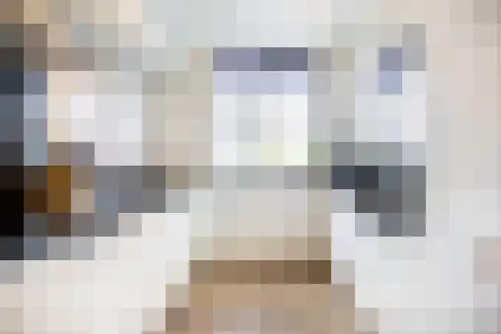 Brederode 51 Duiven thumbnail 16