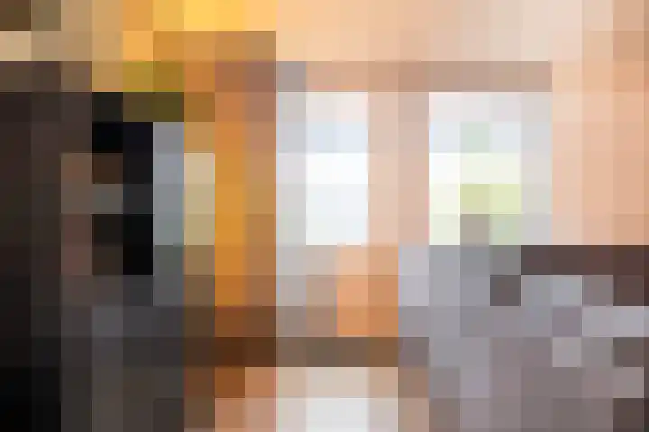 Brederode 51 Duiven thumbnail 21