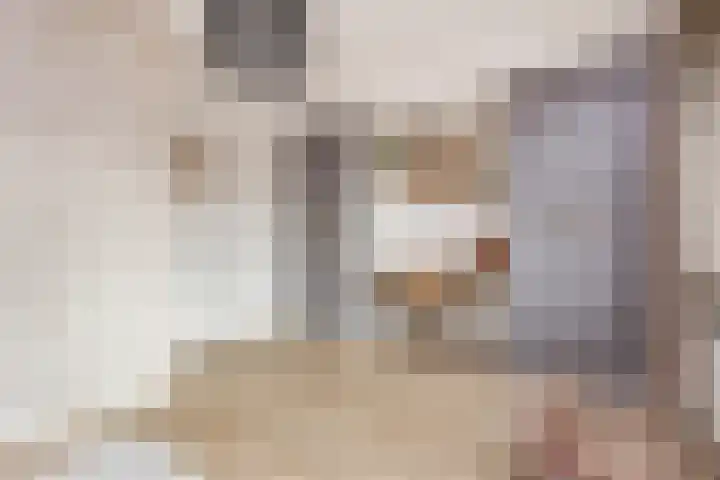 Brederode 51 Duiven thumbnail 24