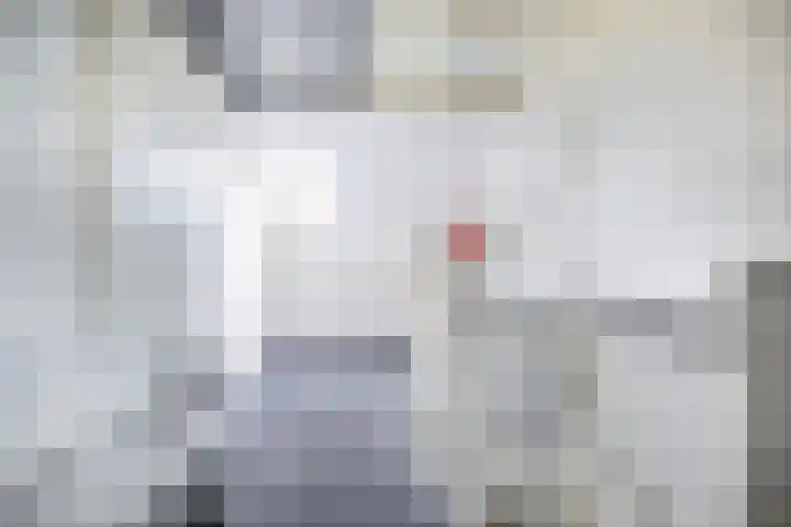 Brederode 51 Duiven thumbnail 36