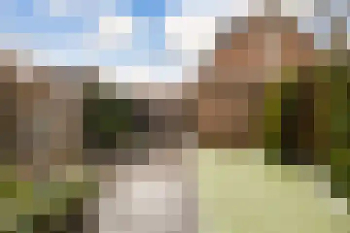 Brederode 51 Duiven thumbnail 46