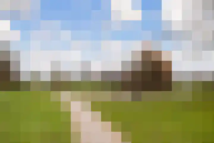 Brederode 51 Duiven thumbnail 49